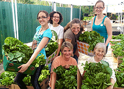 Ivan Stein - Foundation For Sustainable Living - Heavenly Farms Organic Food Co-op - Non-Profit
